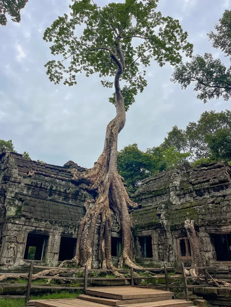 Angkor Wat view 4